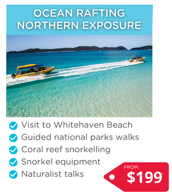 Whitsundays Mega Sale eDMWEBSITE elements (10)